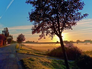 Herbststimmung