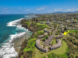 Aerial View of Property