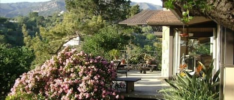 Front deck off living room and dining room, with our 'forever' views.