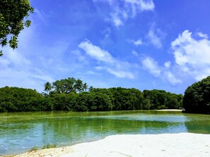 Lac