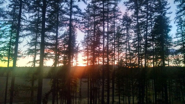 Sunset view over the marsh - so lovely!