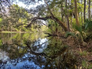 looking downstream