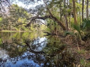 looking downstream