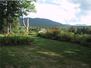 View from the Front Yard