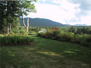 View from the Front Yard