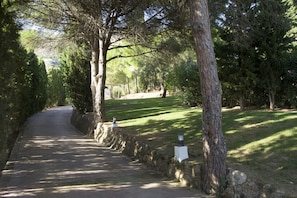 Property grounds