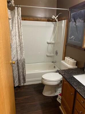 Newly renovated full bathroom on main floor.