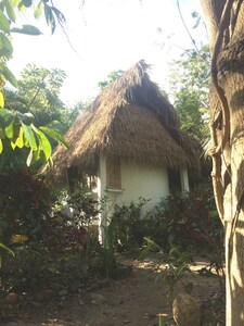 Casa Cuentos es nuestra escapada rústica con techo de palapa en Yelapa, Jalisco, México.