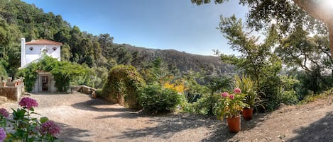 Jardines del alojamiento