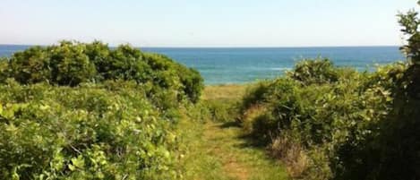 Private Beach Path