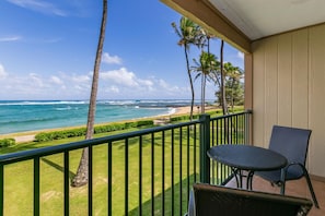 Picture yourself on the Lanai.  Yes, it really looks like this!