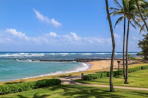 The beach is right out your window.