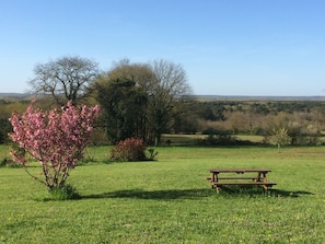 Stunning view from terrace and balcony