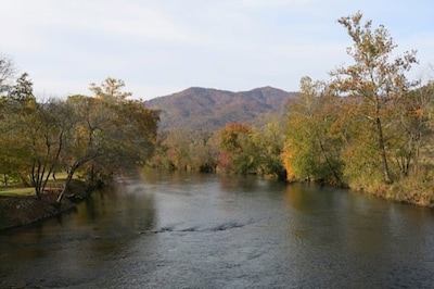 Spacious Semi-Private Cypress Siding Cabin off Tenn River on small mountain!