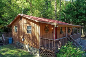 House, Cabin, Lamp, Countryside, Hut