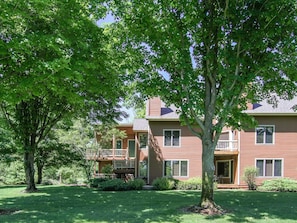 "Grass,Tree,Building,Tree Trunk,House"