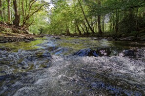 Creek 1