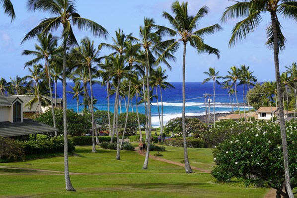 Your view from the lanai at Kahala 623