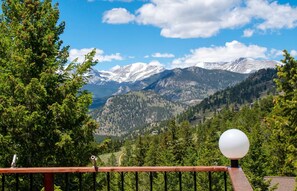 Railing, Tree, Fir, Outdoors, Mountain