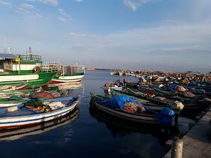 Marina