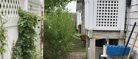 walkway to Little Cottage during clean up