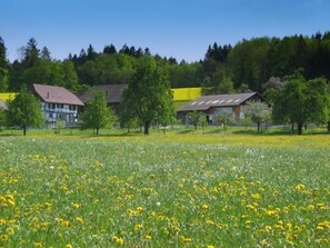 Boendeområde