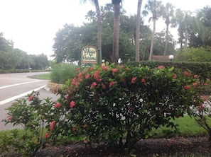 Entrance to Village Gardens