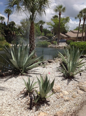 Front of Village Gardens - pond / fountain area