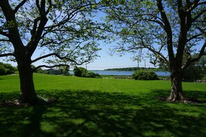 View from back patio