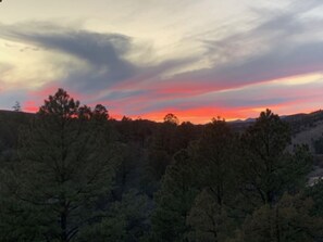 Oklassificerad bild, 4 av 47, knapp
