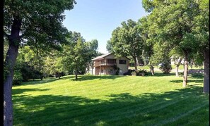 Our large spacious yard is great for all sorts of fun! (now has Rainbow playset)