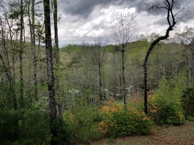 Dahlonega -SPECTACULAR mountain view