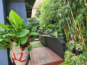 entrance at the back of the house, very green and private with relaxing outdoor