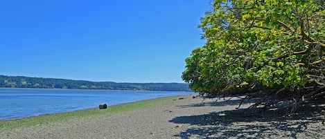 The woods open up to 500’ of private beach