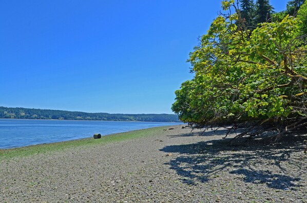 The woods open up to 500’ of private beach