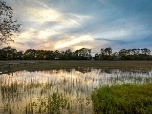 Marsh Views