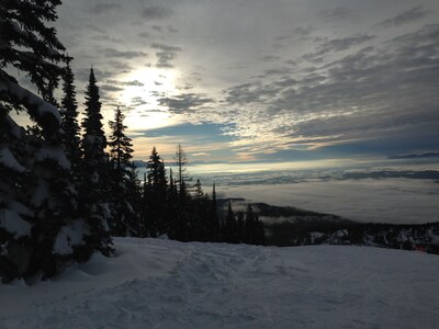 Quintessential Whitefish Montana Cabin-New Listing!