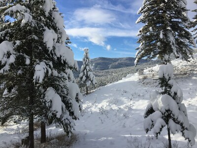 Quintessential Whitefish Montana Cabin-New Listing!