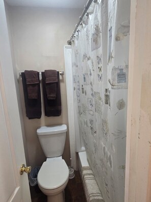 Guest bathroom