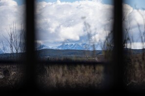 View from living room window 