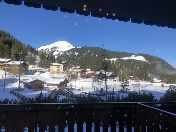 The view from our terrace 