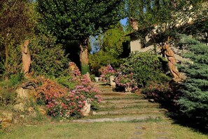 Garten, Vegetation, Baum, Botanischer Garten, Blatt, Strauch, Botanik, Gras, Pflanze, Biome