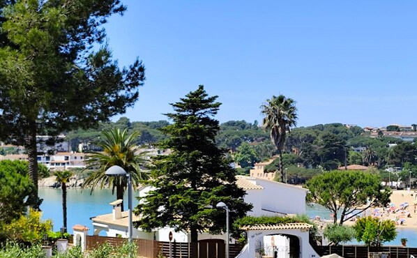 views from the terrace