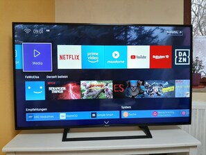 Television