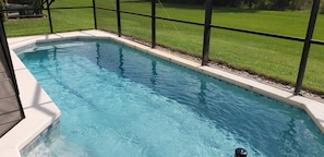 Huge super clean pool with no rear neighbors, very quite and private!