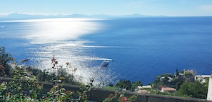 Vue aérienne