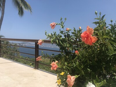 Hermosa casa en Las Brisas con terraza doble y vista al mar. 