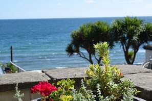 View from our shared patio