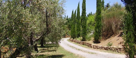 Terrenos do alojamento