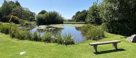 Trehill cottages tranquil, well stocked main fishing pond